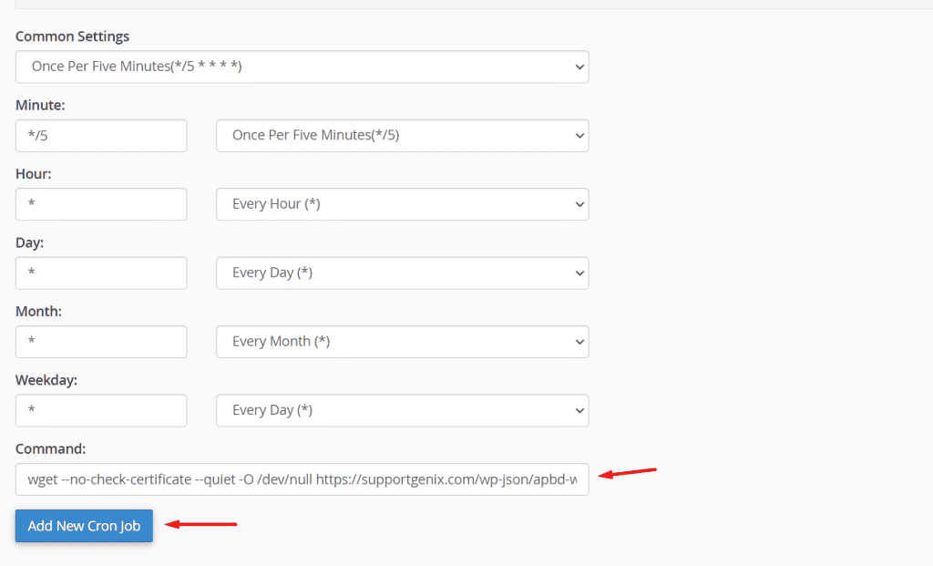 Paste the command and click the "Add New Cron Job Button"