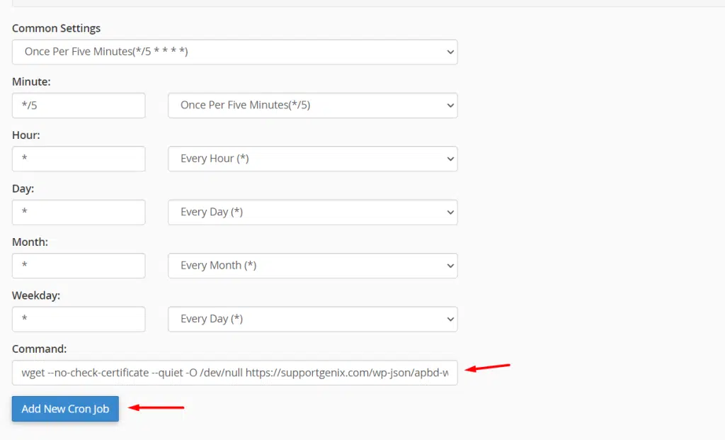 Paste the command and click the “Add New Cron Job Button”