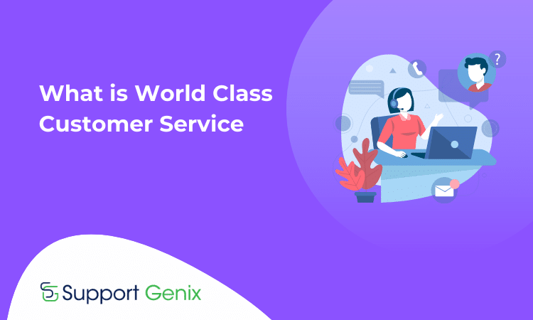 What Is World Class Customer Service And How To Achieve It Support Genix